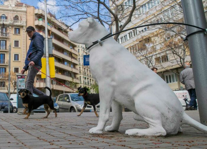 Las estatuas de Perros en Barcelona, fomentan la Adopción