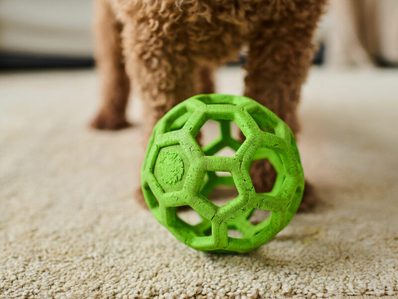 Los mejores juguetes interactivos para perros: mantén a tu mascota activa y estimulada